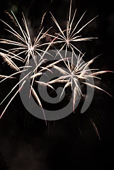 Fireworks-Fuegos artificiales photo