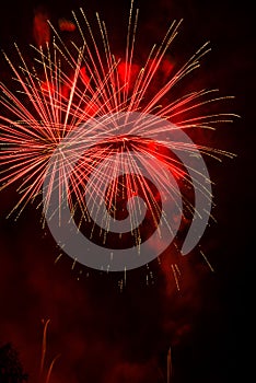 Fireworks-Fuegos artificiales photo