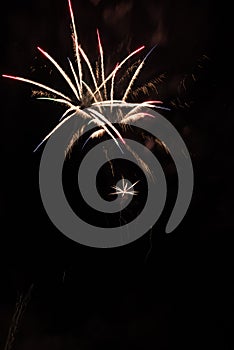 Fireworks-Fuegos artificiales photo