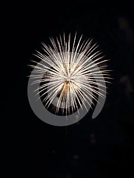 a fireworks that has been set off in the night sky