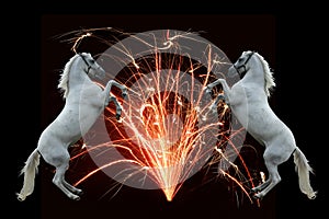 Fireworks and horses