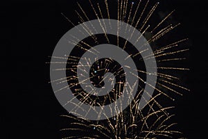 Fireworks light up the sky