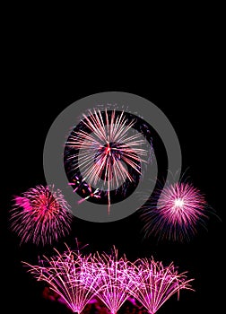 fireworks new year celebrate - beautiful colorful firework isol