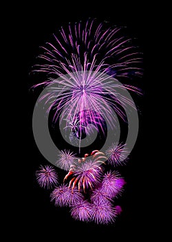 fireworks new year celebrate - beautiful colorful firework isol