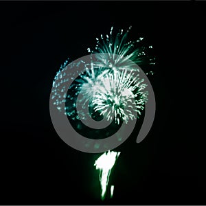 Fireworks in the night sky. Vector
