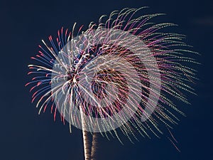 Fireworks burst in the night sky