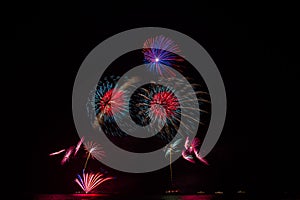 Fireworks over night sky