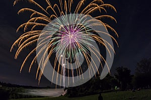 Fireworks over tree line