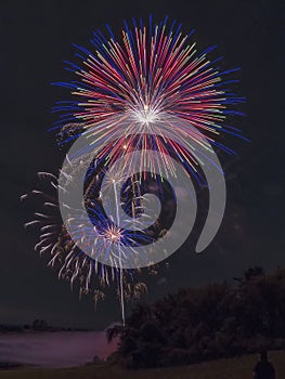 Fireworks over tree line