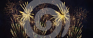 Fireworks pyrotechnics celebration party event festival holiday or New Year background panorama - Golden firework on dark night