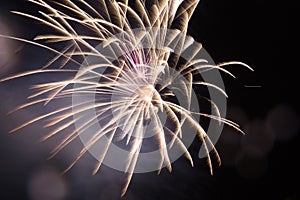 Fireworks in sky twilight. Fireworks display on dark sky background. Independence Day, 4th of July, Fourth of July or