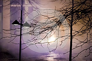 Fireworks on the street of Amsterdam in a New Year night