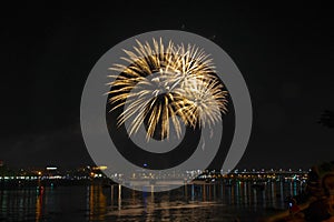 Fireworks of yellow tassels similar to the leaves of a palm tree