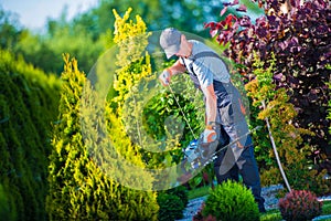 Firing Up Hedge Trimmer