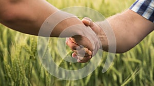 A firm handshake between two male farmers on the background of a wheat field.