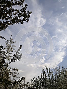 Firmament sky photo