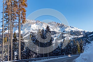 Firs Covered by the Snow in Apls Mountains in the North of Italy in Winter taken by the inside of a Car