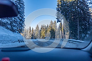 Firs Covered by the Snow in Apls Mountains in the North of Italy in Winter taken by the inside of a Car