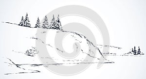 Firs on hill above river. Vector drawing