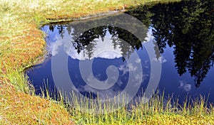 Firs reflection in the calm, blue water of a mountain lake