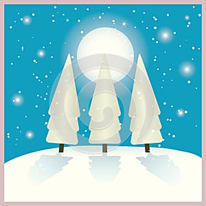 Firs in winter night