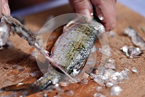 Firsherman gutting and cleaning scales of freshly caught fish