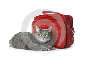 First aid kit and cute cat on white background