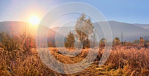 First autumn frost. The bright November sun melts frost on the yellow fields of dry grass