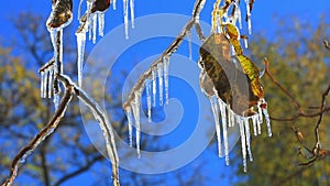 First autumn frosts