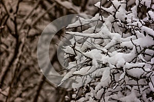 The first autumn snow fell