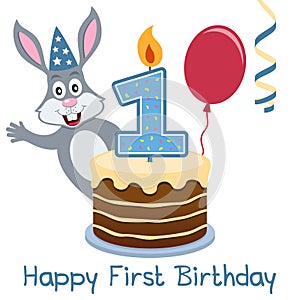 First Birthday Bunny Rabbit