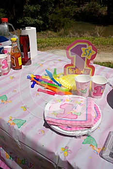 First Birthday party in a park