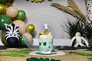 First birthday smash cake, decorative one year cake, party animal theme colorful balloon background 1 year