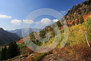 First breath of Autumn in the mountains