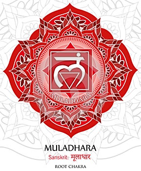 Vector of Muladhara chakra photo