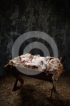 First Christmas With JEsus on a Manger