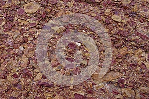 First Creek Trail, Potato Knoll, Red Rock Conservation Area, Nevada, USA