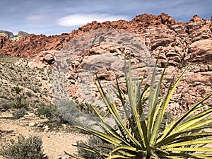 First Creek Trail, Potato Knoll, Red Rock Conservation Area, Nevada, USA