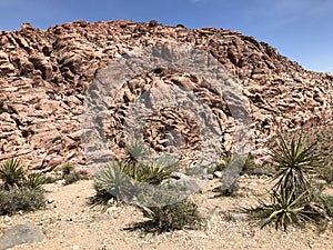 First Creek Trail, Potato Knoll, Red Rock Conservation Area, Nevada, USA