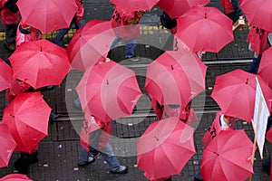 First Croatian labor union cav