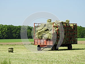 First cutting of hayfield using square bales of hay
