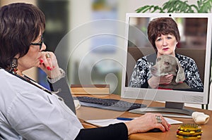 First dog owner visit to virtual veterinarian