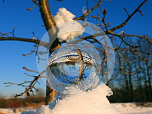 Tree in glassball 1