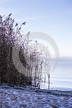 First frost on the beach