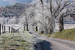 First Frost in Cades Cove