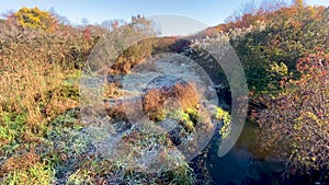 First frost covering the brush of the Carlls River in Babylon