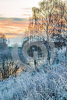 first frost at sundown