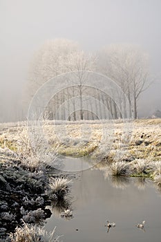 First Frost - Landscape