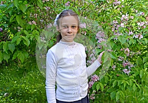 The first grader`s portrait against the background of the blossoming veygela in the park