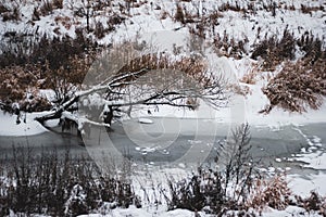 The first ice on the river. River Bank with thickets of dry brown grass covered with snow and frozen river. Autumn landscape